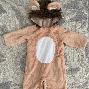 Pottery Barn Lion Costume
